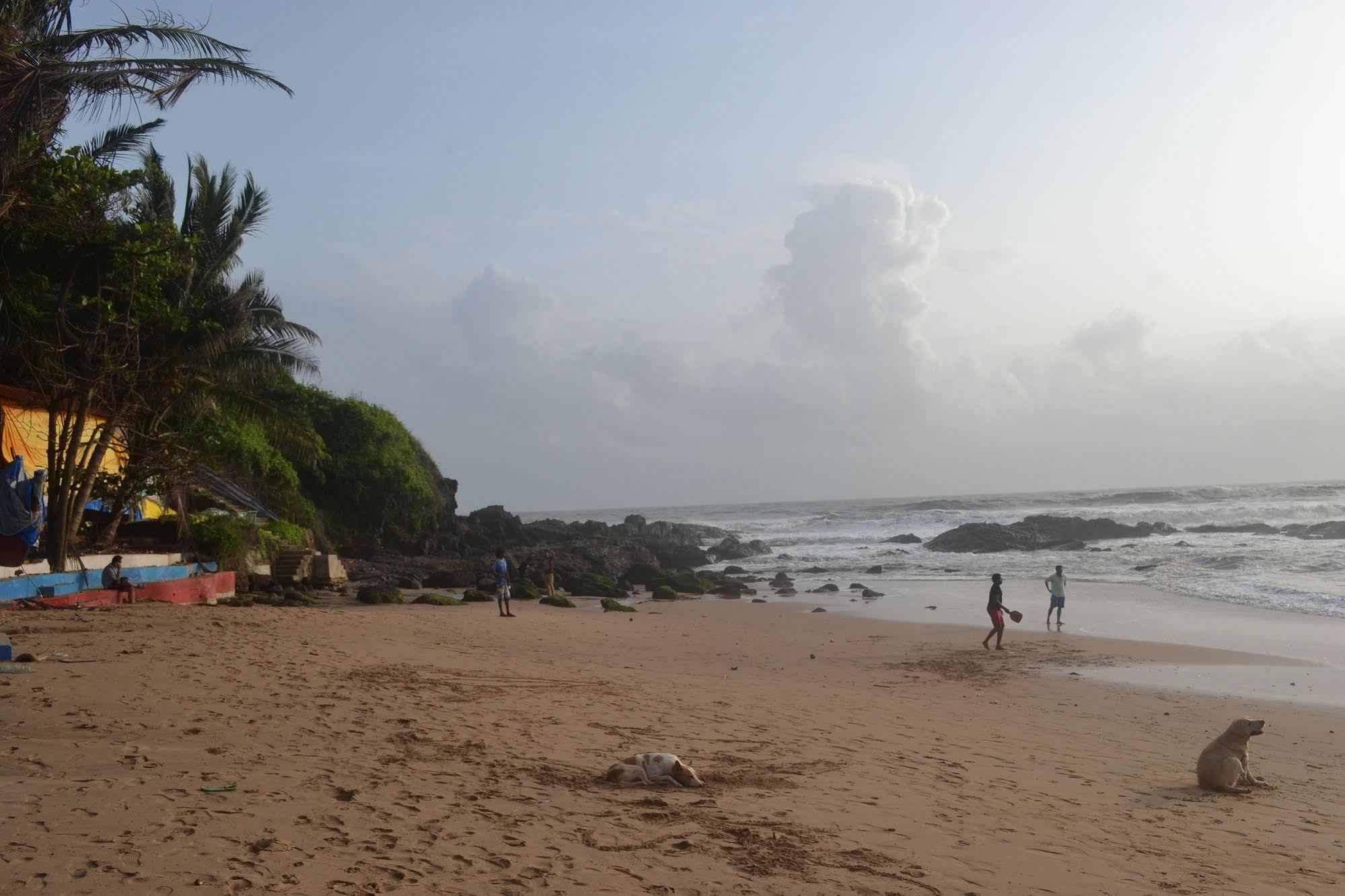 Curlies Zulu Land Hostel Anjuna Exterior photo